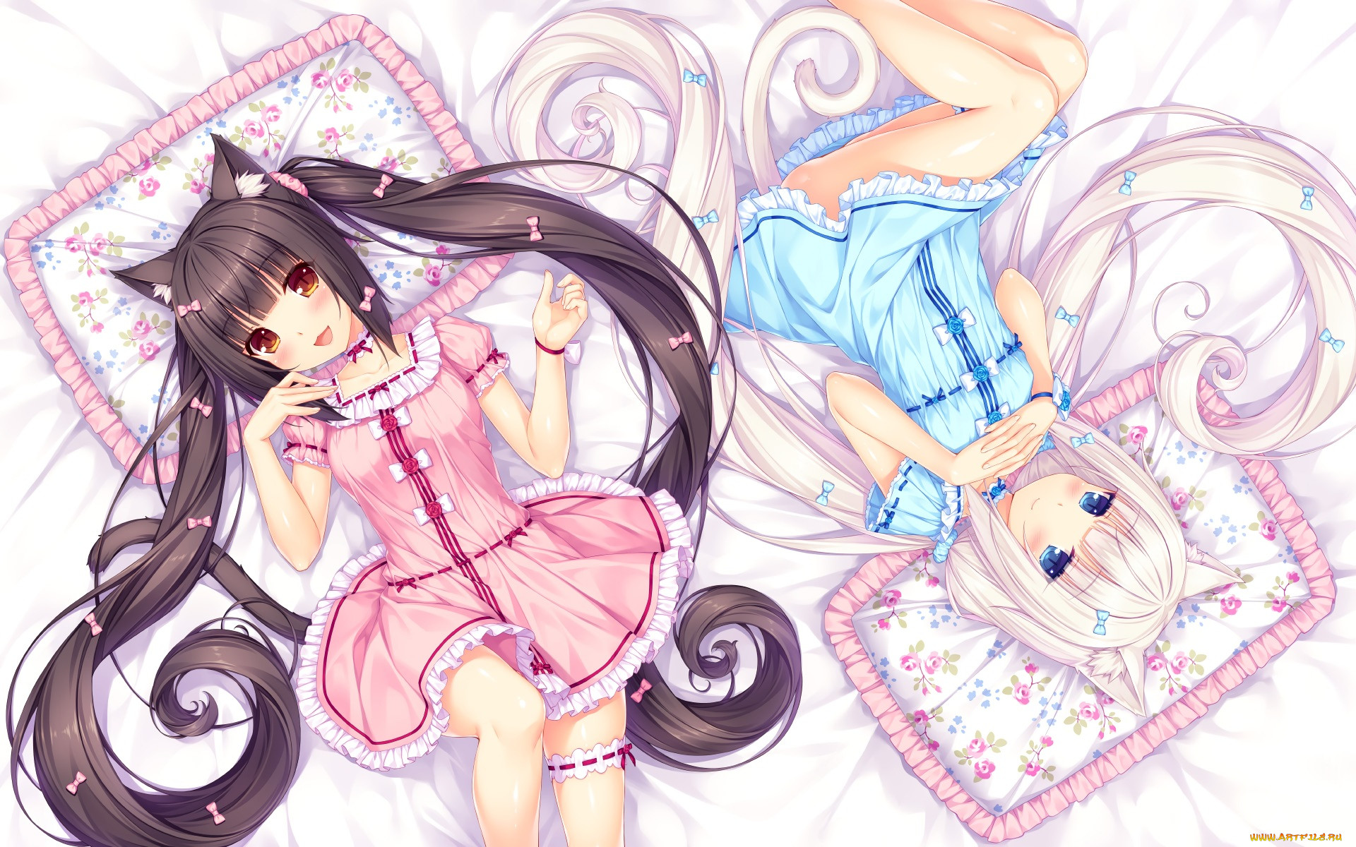 , nekopara, , , 